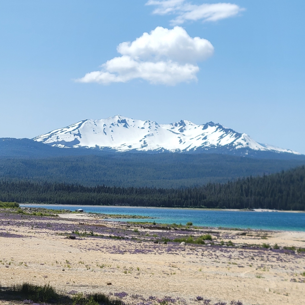 Meet your Posher, Keenan